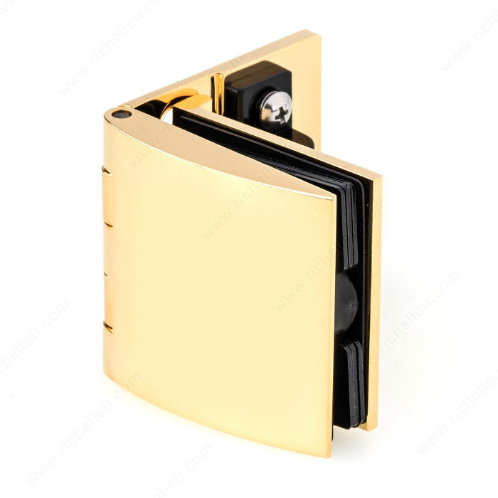 Inset Glass Door Hinge With Catch